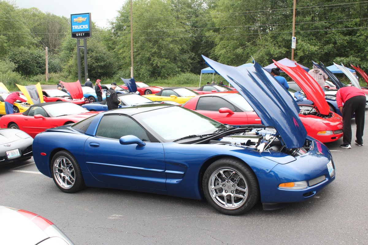 Click to Enlarge-Esc to Close Corvette Generations/C5/C52003 Blue Anniv Edn B84.JPG